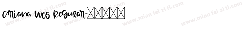 Ariana W05 Regular字体转换